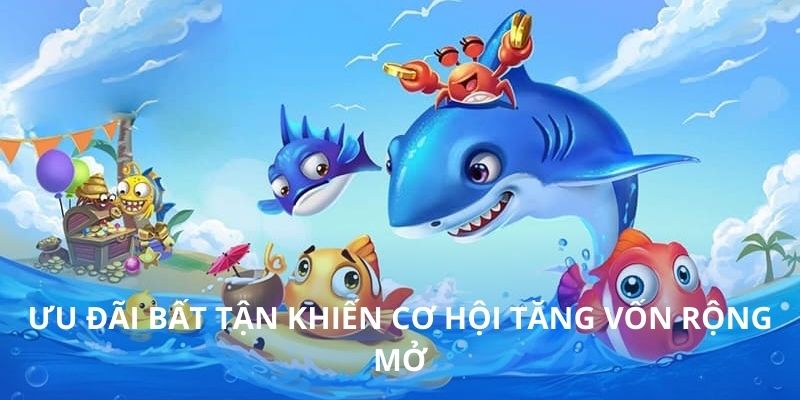 Ưu đãi bất tận khiến cơ hội tăng vốn rộng mở 