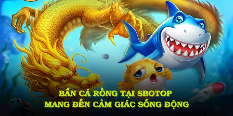 Bắn cá rồng tại SBOTOP mang đến cảm giác như lạc vào đại dương sống động