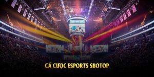 ảnh đại diện cá cược esport sbotop