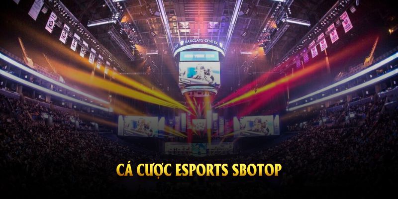 ảnh đại diện cá cược esport sbotop