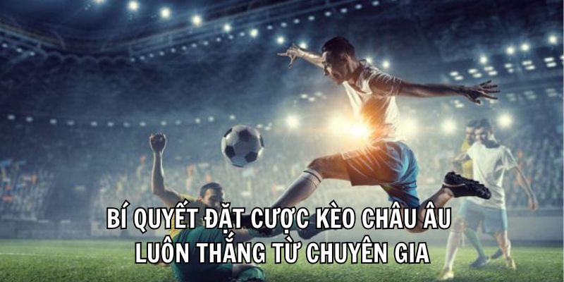 Chia sẻ kinh nghiệm cược tỷ lệ 1x2 từ cao thủ tại SBOTOP