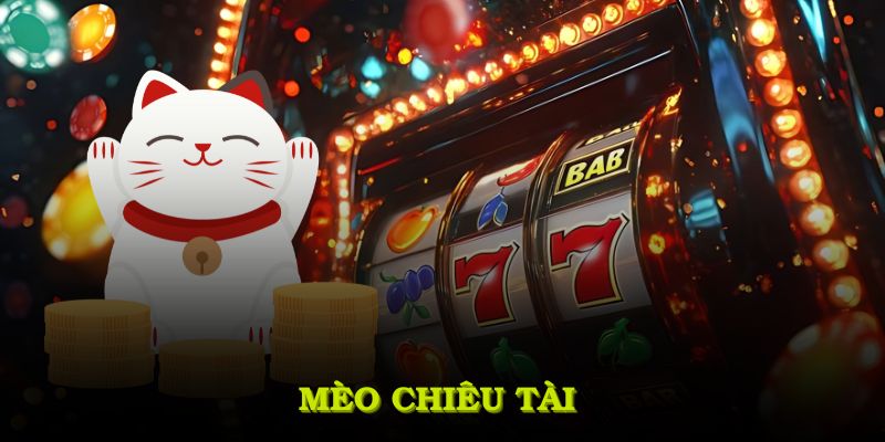 ảnh đại diện mèo chiêu tài