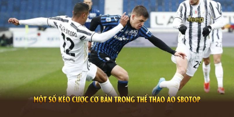 Một số kèo cược cơ bản trong thể thao ảo SBOTOP
