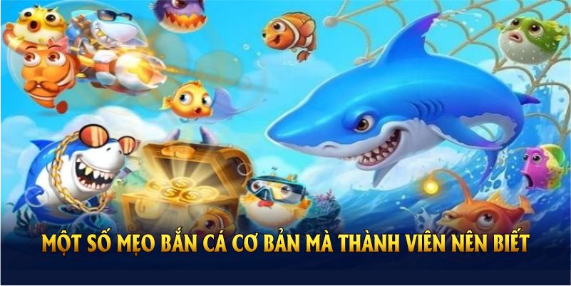 Một số mẹo chơi bắn cá cơ bản mà thành viên nên biết